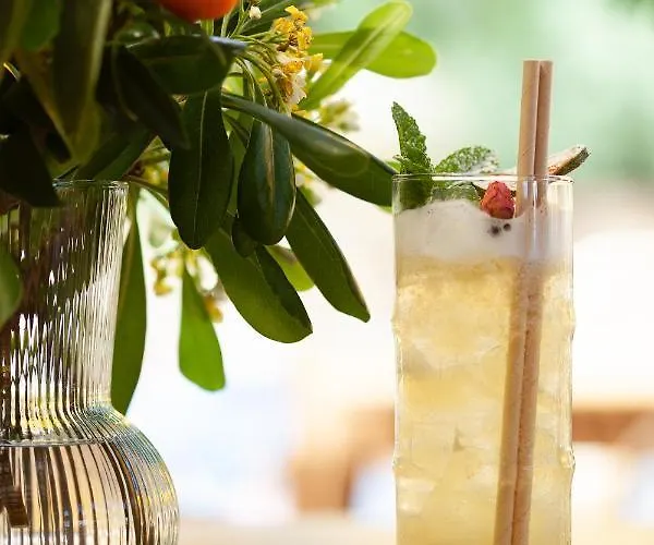 La Piscine Ξενοδοχείο Le Lavandou