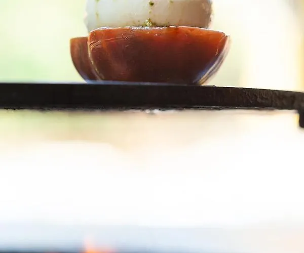 酒店 La Piscine 4*